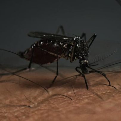Dourados concentra 42% das mortes por chikungunya no Brasil