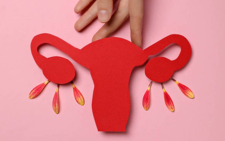 Métodos contraceptivos e de fertilidade naturais consistem em conhecer e observar o próprio ciclo menstrual