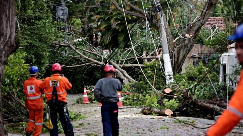 Funcionários da prefeitura observam árvore que caiu sobre casa no Pacaembu (zona oeste) após forte vendaval que atingiu São Paulo - Danilo Verpa - 23.set.25/Folhapress