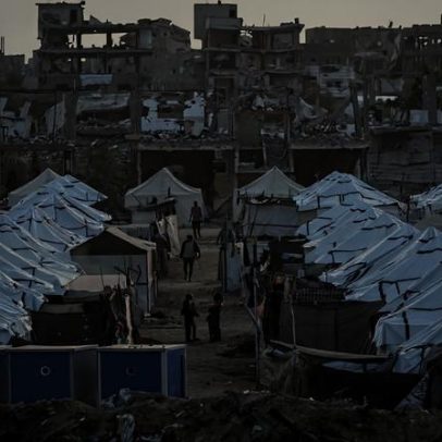 Ratos, pulgas e parasitas proliferam em abrigos em Gaza