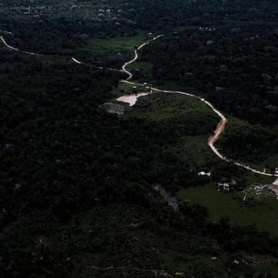 Estradas fantasmas apoiadas por governos ameaçam a Amazônia, indicam estudos