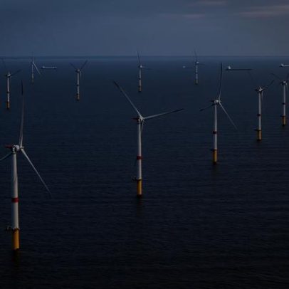 Trump recua na energia eólica marítima; Brasil vê oportunidade, diz associação
