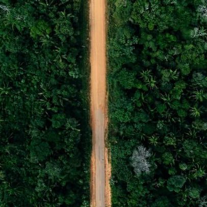 Justiça derruba liminar e autoriza DNIT a retomar licitações da BR-319