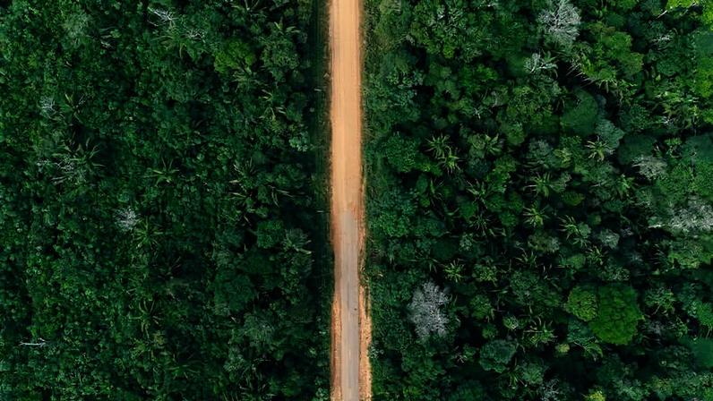 Limite do trecho já pavimentado BR-319, que liga Manaus (AM) a Porto Velho (RO)