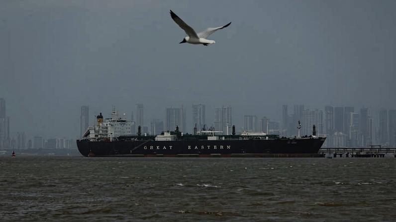 Pássaro voa em frente a navio de carga em região próxima do estreito de Hormuz