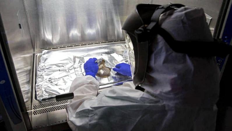 Técnico perfura crânio em processo para extrair DNA em laboratório da Universidade Harvard, em Boston (EUA)