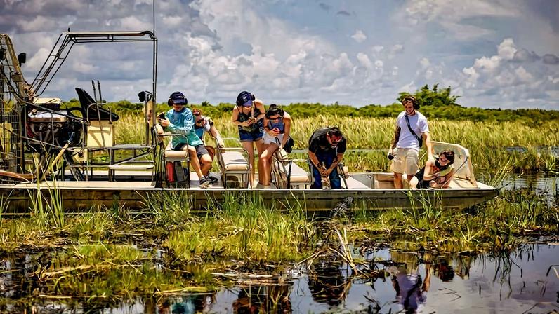 Visitantes tentam avistar répteis em pântano da região dos Everglades, na Flórida