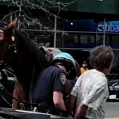 Policial a cavalo persegue e prende suspeito de furto em Nova York