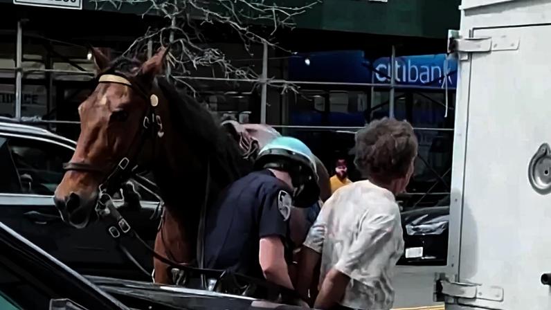Policial em Nova York persegue suspeito a cavalo