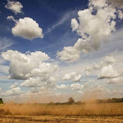 Criador da Embrapa tornou o Brasil potência agrícola; reconhecimento tardio