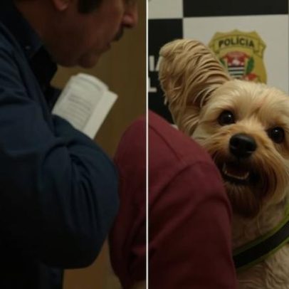 Homem usa máscara realista para furtar cachorro da ex-companheira