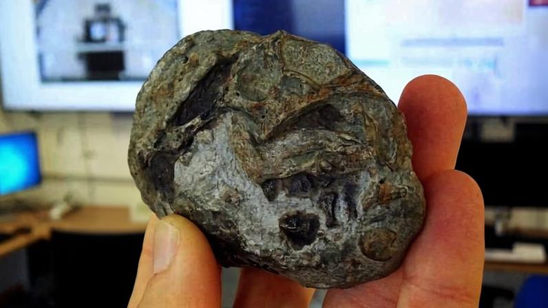 O ovo fossilizado fotografado na sala de controle do ESRF (Unidade de Radiação de Síncrotron Europeia), em Grenoble, na França