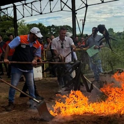 Defesa Civil capacita produtores rurais para combater incêndios no interior de SP