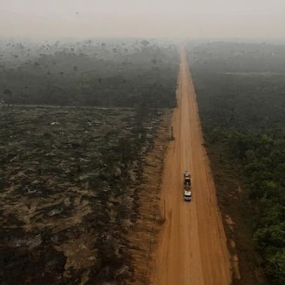 Perda de florestas tropicais cai em 2025 após recorde, aponta relatório