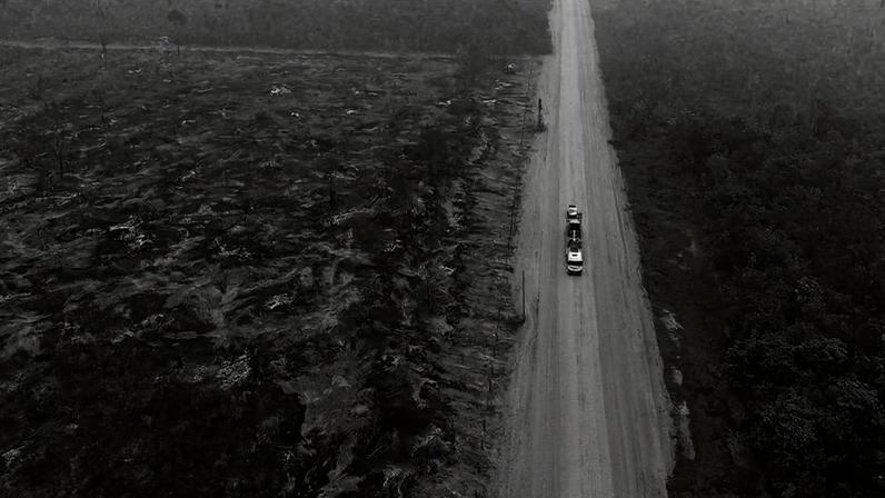 Imagem aérea de floresta devastada, em Lábrea (AM)