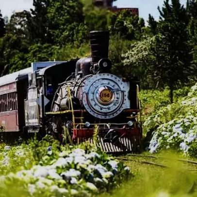 Estações de trem mais bonitas do Brasil encantam visitantes