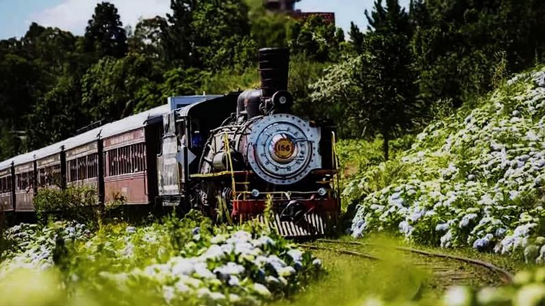 Estações de trem mais bonitas do Brasil encantam visitantes