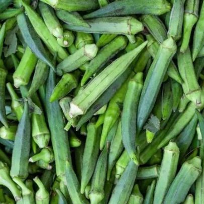 Quiabo, vegetal poderoso, tem benefícios à saúde e dicas para cozinhar sem baba