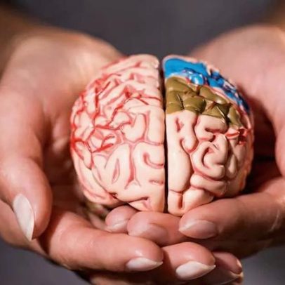 Células humanas viram robôs para tratar o cérebro, segundo pesquisas