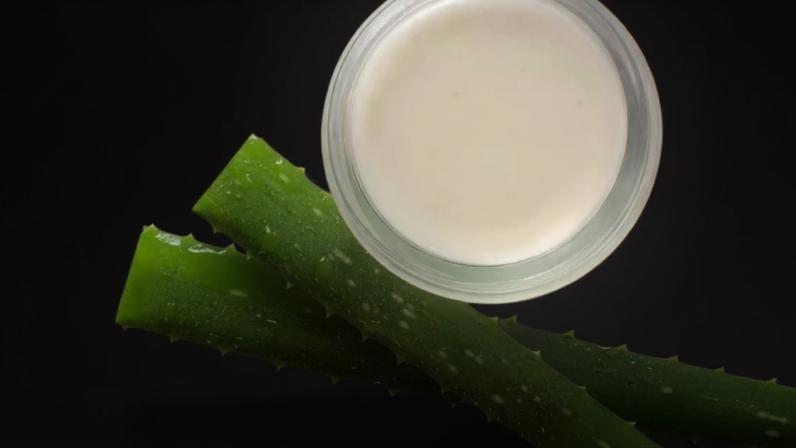A Aloe vera, conhecida como babosa, é amplamente utilizada em cuidados naturais, especialmente para pele e cabelo. Apesar dos benefícios, seu uso exige atenção, já que o consumo inadequado pode trazer riscos — equilíbrio é fundamental.