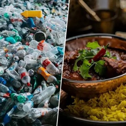 Índia transforma milhões de toneladas de plástico em pratos de curry e arroz