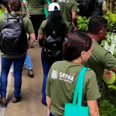 Senar-PE abre 180 vagas gratuitas em cursos técnicos saiba como se inscrever