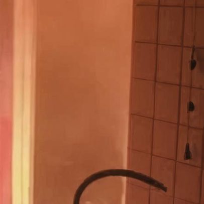 Incêndio em apartamento no Recife deixa duas vítimas e três cães mortos
