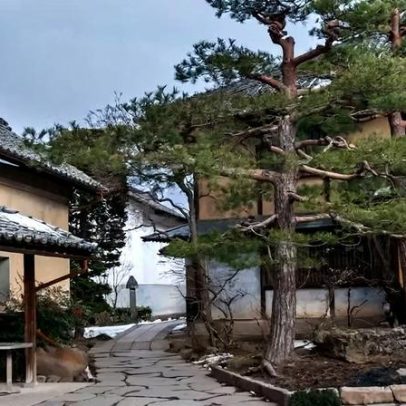 Terremoto de magnitude 5 atinge Nagano; autoridades avaliam danos