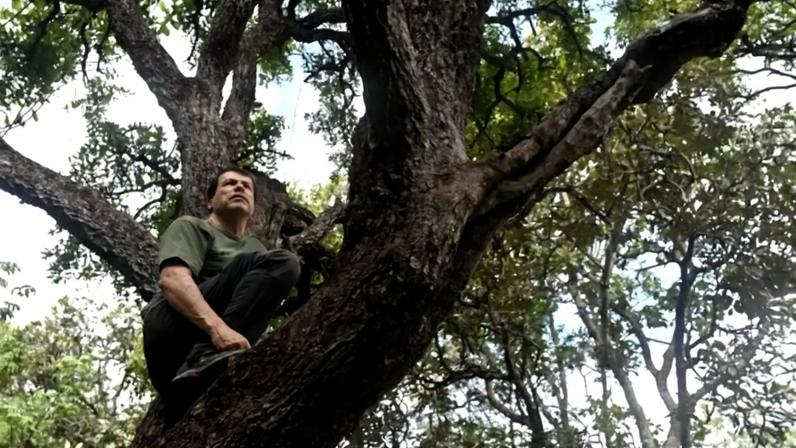 César Victor chama a atenção para a relação direta entre conservação da vegetação nativa, segurança hídrica e qualidade de vida no Distrito Federal - (crédito: Carlos Vieira/CB/D.A Press)