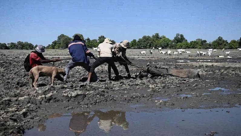 El Niño é um fenômeno climático natural que aumenta as temperaturas da superfície do oceano no Pacífico equatorial central e oriental, e provoca mudanças nos padrões de ventos, pressão e precipitações - (crédito: Monirul Bhuiyan / AFP)