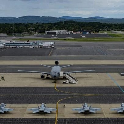 Pilotos que imitam gatos e cachorros viralizam e são investigados