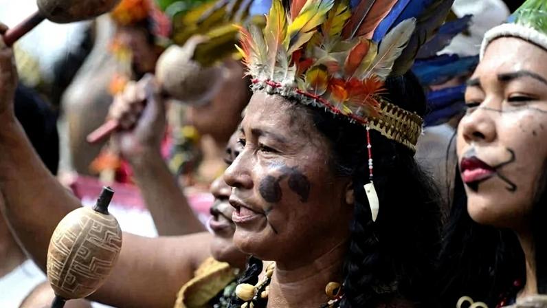 A Apib destaca que a demarcação de terras continua sendo uma das principais reivindicações do movimento indígena - (crédito: Carlos Vieira CB/DA Press)