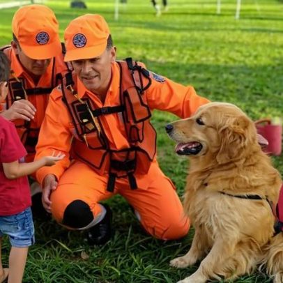 Morre Thor, cão bombeiro que visitava escolas e doava sangue