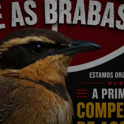 Estudantes organizam campeonato de assovio na UnB