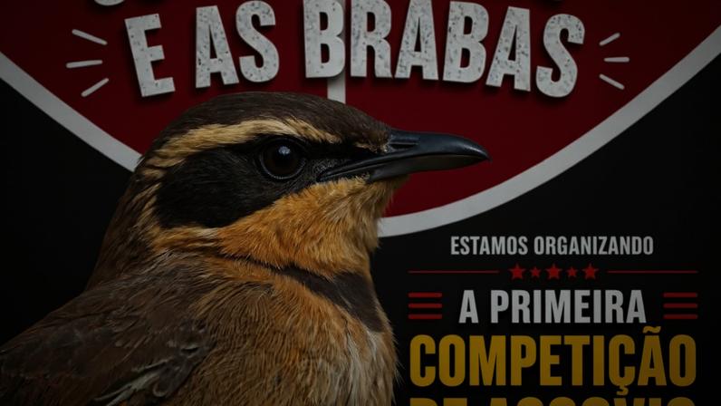 Estudantes organizam campeonato de assovio na UnB