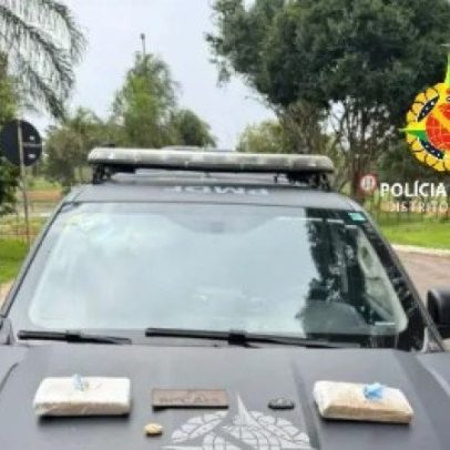 Agente K9 encontra drogas em mochila na Rodoviária Interestadual