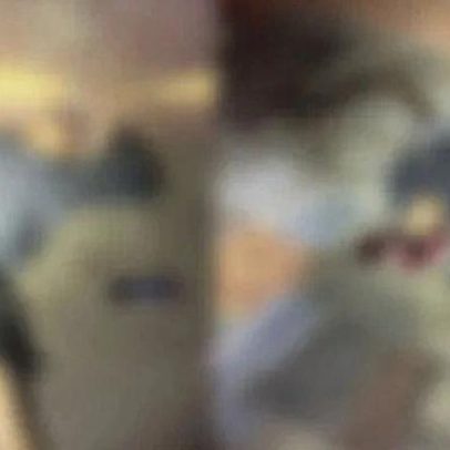 Atiradores invadem casa em Luziânia e matam dois
