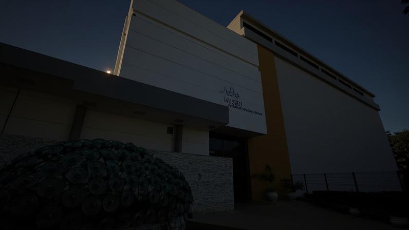 Fóssil que permitiu descoberta integra uma das coleções do Museu de Ciências Naturais PUC Minas desde a década de 1980 - (crédito: Marcos Figueiredo/Ibram)
