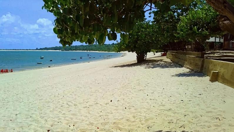 Praia de Pajuçara, em Alagoas - (crédito: Reprodução/Prefeitura de Santarém)