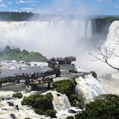 Áreas protegidas pela UNESCO funcionam como refúgios da biodiversidade
