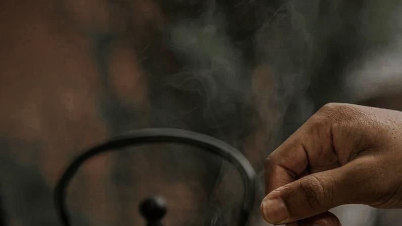 Chá natural combate fungos e bactérias, aponta estudo