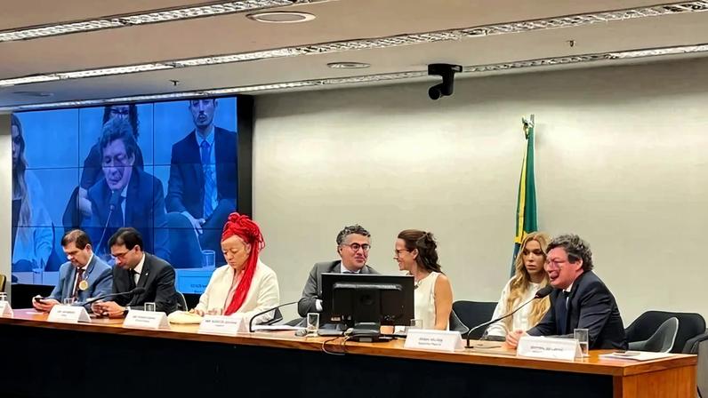 A deputada Erika Hilton (PSOL-SP), durante a instalação da comissão especial na Câmara dos Deputados - (crédito: Vanilson Oliveira / CB / DA Press)