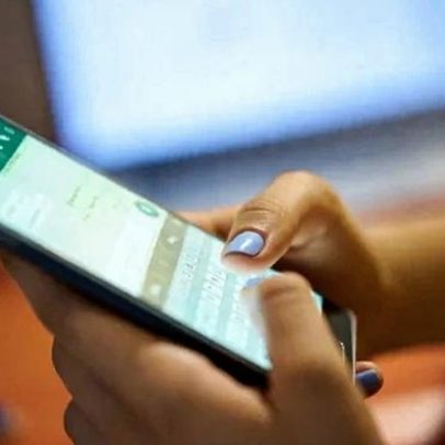 Brasileiro diz não checar informações antes de compartilhar