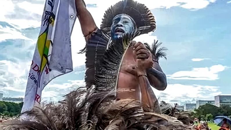 Meio Ambiente: análises e alertas destacam tendências e riscos