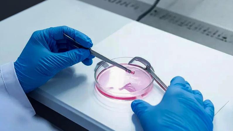 Congelar óvulos garante a gravidez? O Dr. Vinicius Bassega explica as vantagens e os mitos sobre a preservação da fertilidade e o impacto da idade biológica