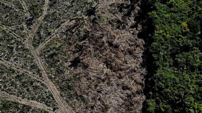 Sobrevoo mostra desmatamento em área da floresta amazônica em Manaus, no Amazonas. — Foto: REUTERS/Bruno Kelly/File Photo