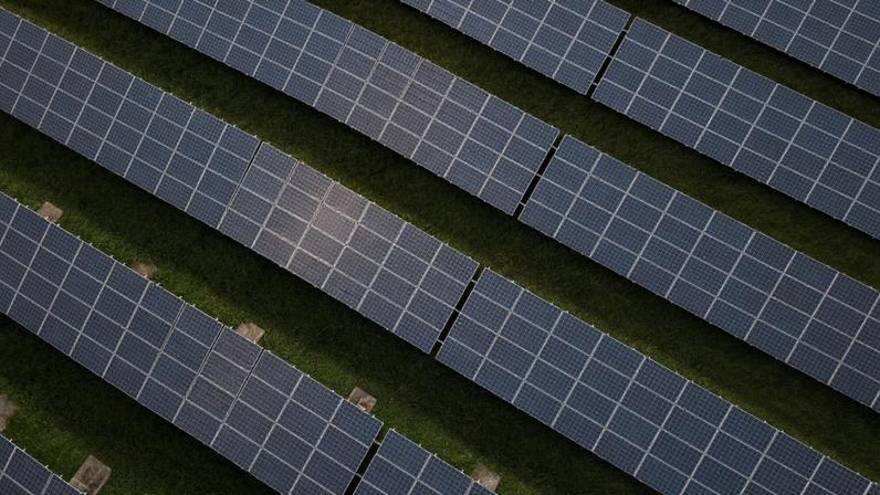 Fileiras de painéis solares em grama verde, com brilho do sol.