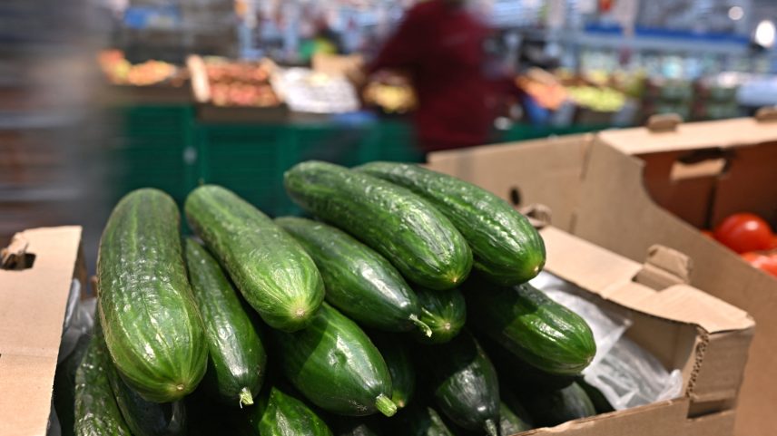 Pepino se tornou símbolo de inflação na Rússia — Foto: REUTERS/Alexey Malgavko