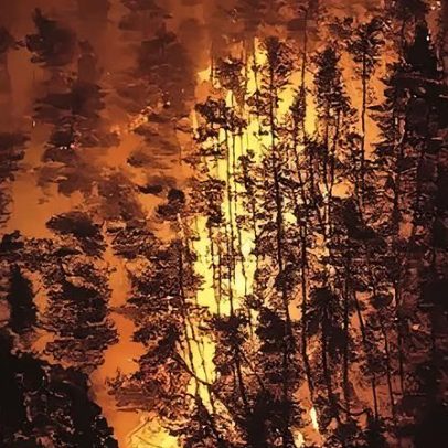 Incêndios florestais levam a ordens de retirada no norte do Japão