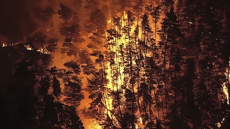 Incêndios florestais provocam ordens de evacuação no norte do Japão